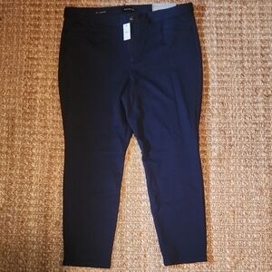 Talbots Blue Trousers with Flat Front and Straight Legs